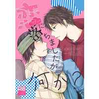 [Boys Love (Yaoi) : R18] Doujinshi - Novel - Prince Of Tennis / Zaizen x Hitouji (恋に落ちましたが何か？) / Dangerous Beauty