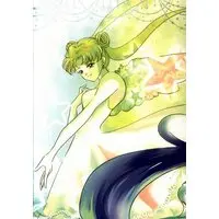 Doujinshi - Sailor Moon / Seiya Kou x Tsukino Usagi (I Wish...) / CARESS