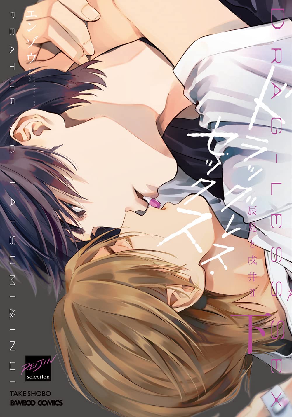 Boys Love (Yaoi) Comics - Dragless Sex Tatsumi to Inui (ドラッグレス・セックス 辰見と戌井2 (下) (バンブーコミックス)) / Enzou