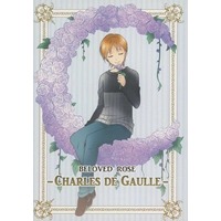 Doujinshi - Novel - PriPara / Mihama Kouji x Hayami Hiro (BELOVED ROSE -CHARLES DE GAULLE-)