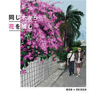 Doujinshi - Illustration book - Mob Psycho 100 / Kageyama Shigeo x Reigen Arataka (同じ木から花を摘む) / 不在票