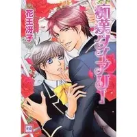 Boys Love (Yaoi) Comics - Chikan Diary (痴漢ダイアリー) / 花王冴子